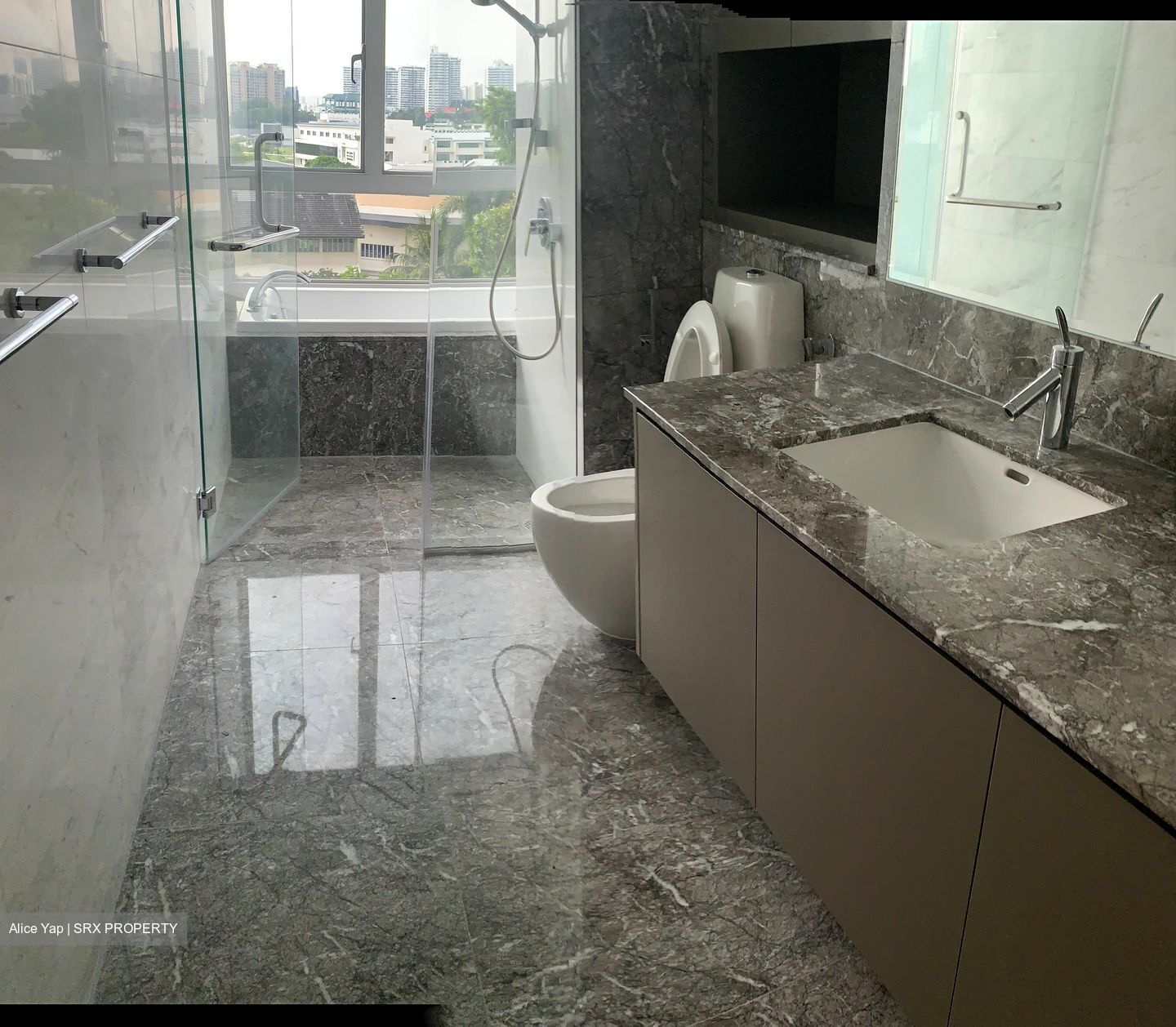 Sky@Eleven (D11), Condominium #357394891